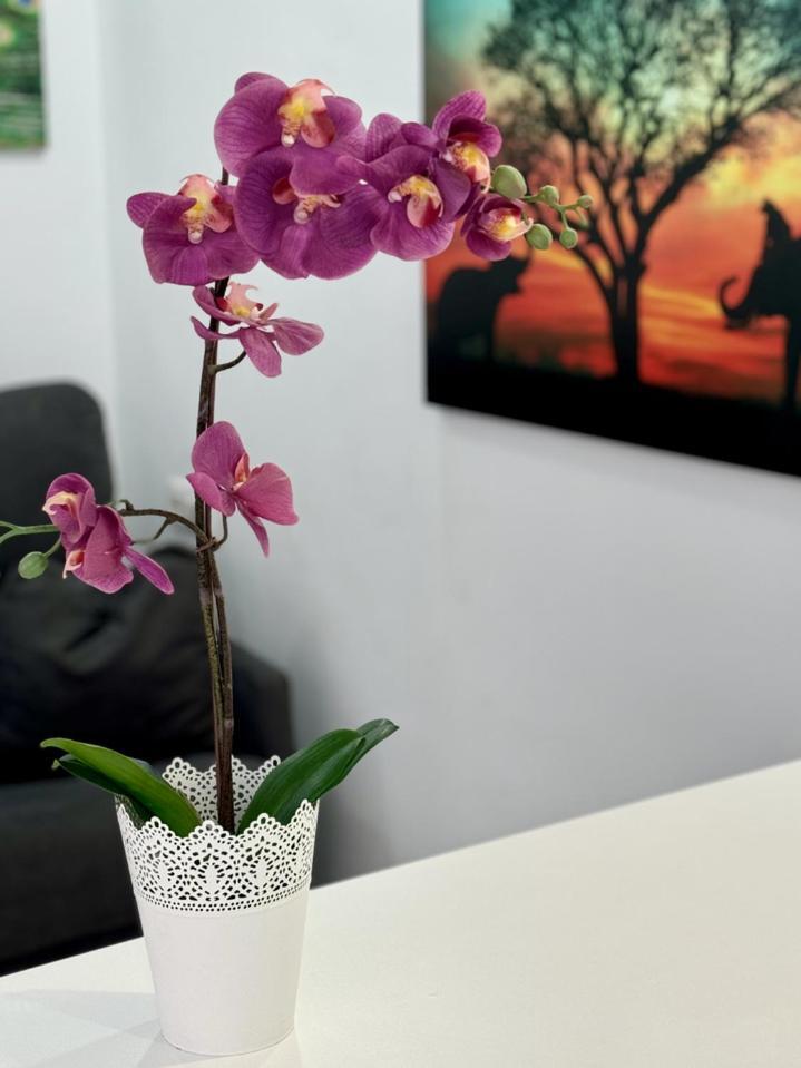 San Eugenio Charming Renovated Apartment Tenerife Costa Adeje  Eksteriør billede