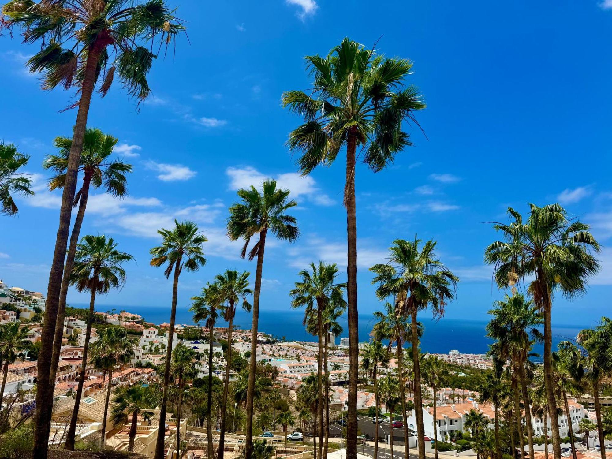 San Eugenio Charming Renovated Apartment Tenerife Costa Adeje  Eksteriør billede