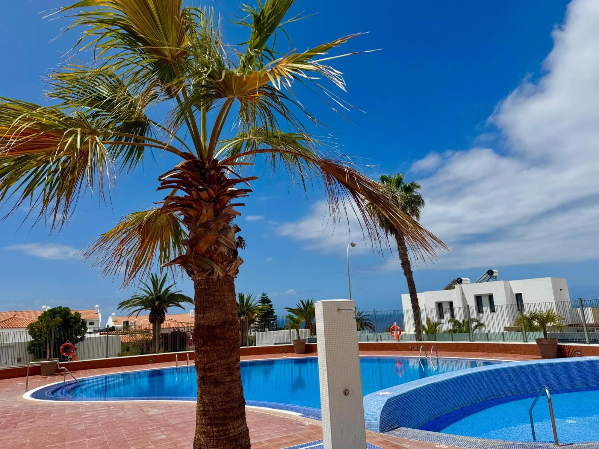 San Eugenio Charming Renovated Apartment Tenerife Costa Adeje  Eksteriør billede