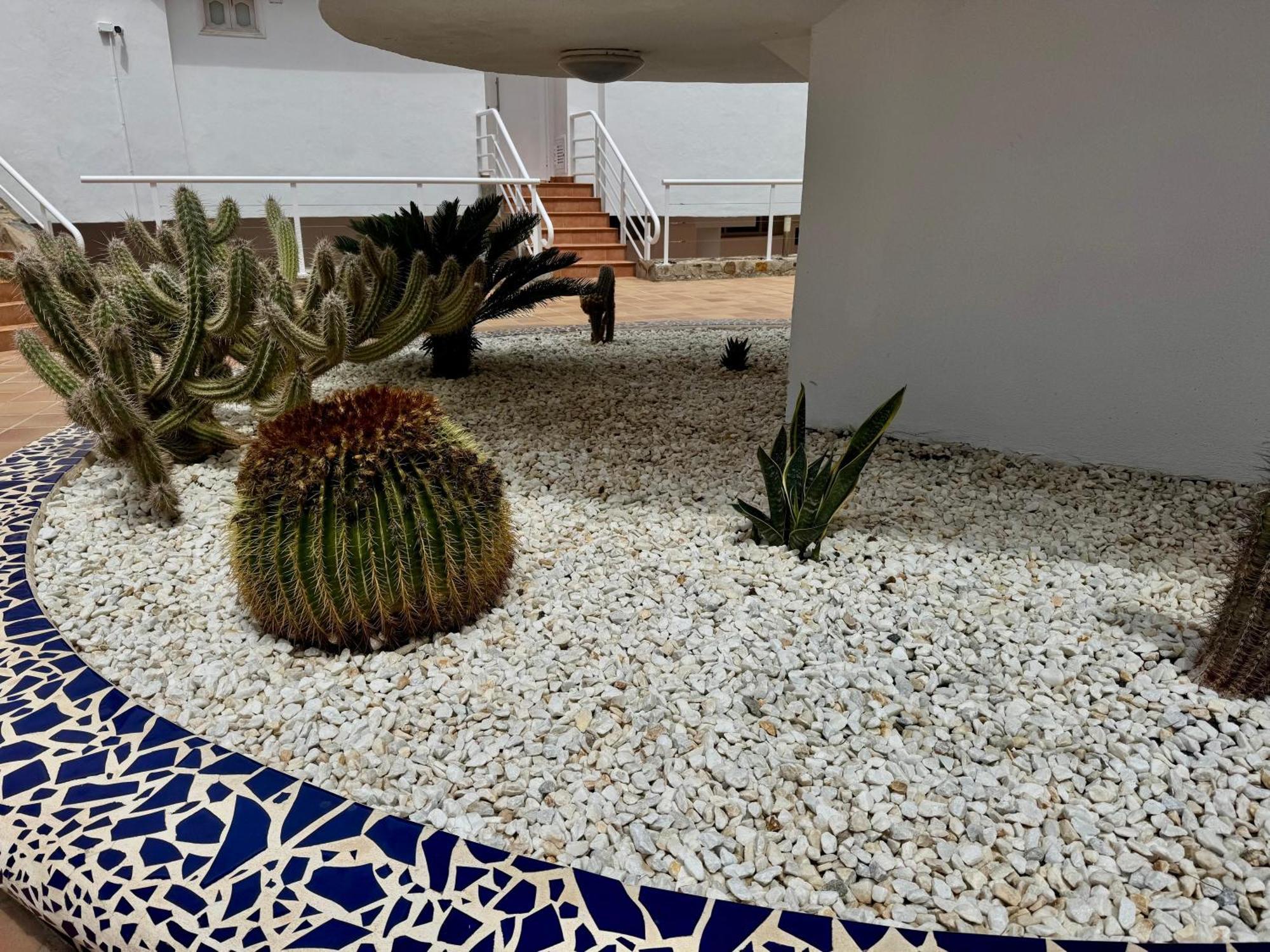 San Eugenio Charming Renovated Apartment Tenerife Costa Adeje  Eksteriør billede